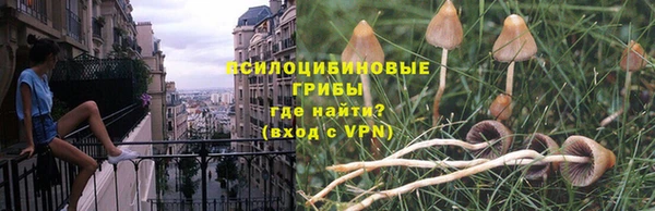 ПСИЛОЦИБИНОВЫЕ ГРИБЫ Армянск